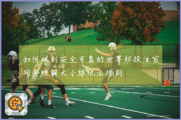 如何识别安全可靠的世界杯投注官网并理解大小球玩法规则