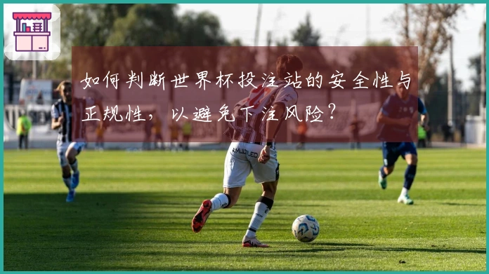 如何判断世界杯投注站的安全性与正规性，以避免下注风险？